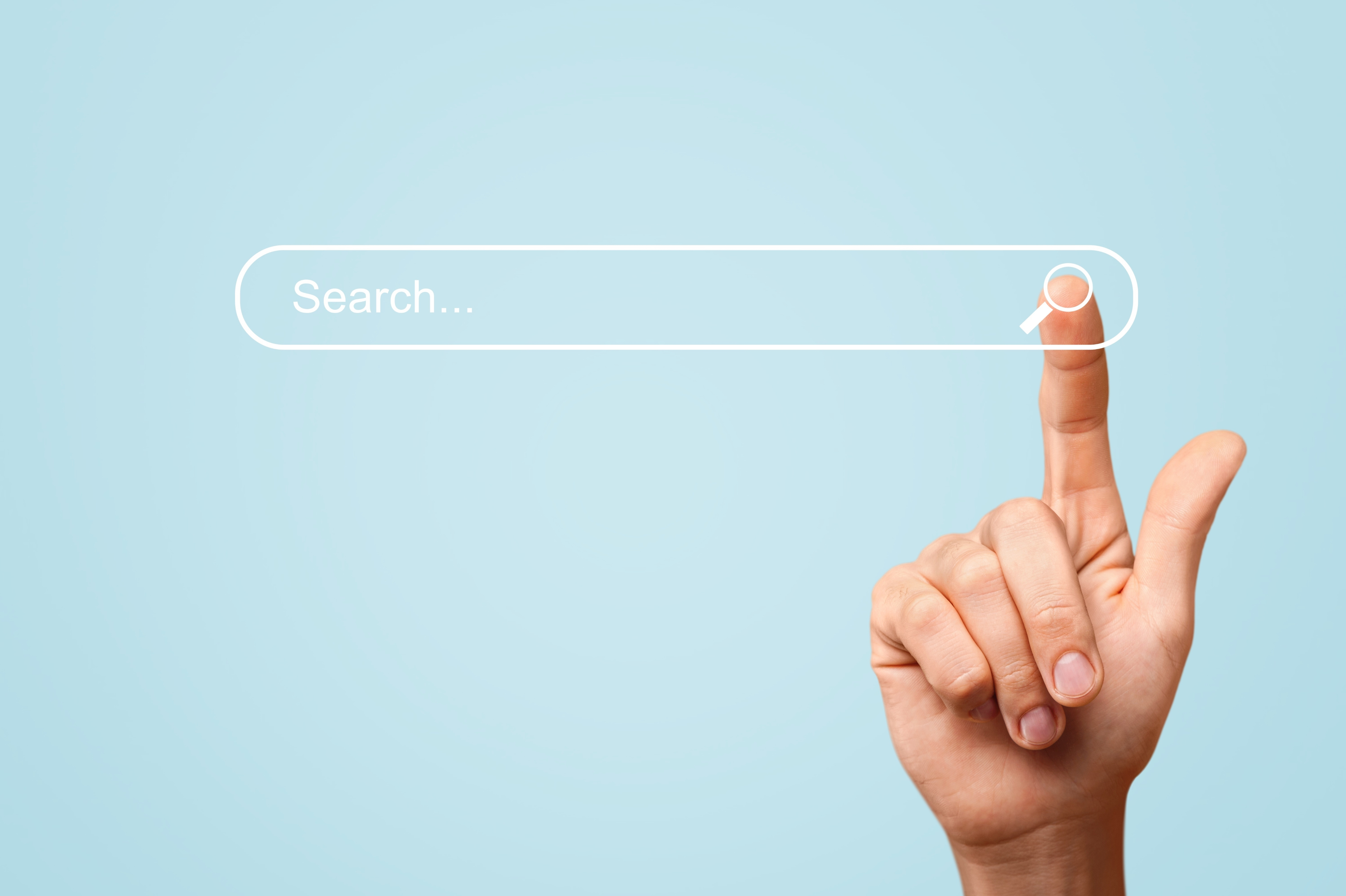 Search Interface